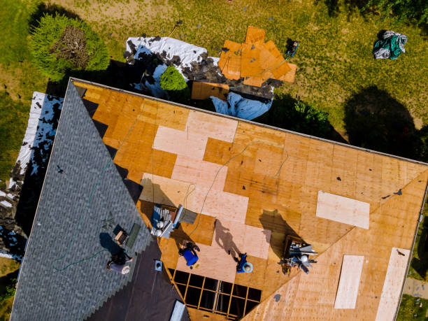 Best Roof Maintenance Services  in Willow Creek, CA